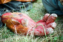 gal/woodstock 07/_thb_small-86780004.jpg